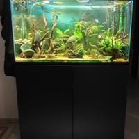 Acquario da 201 Litri + Mobile + Attrezzature