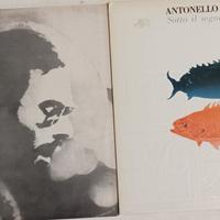 Antonello Venditti: 2 LP vinile