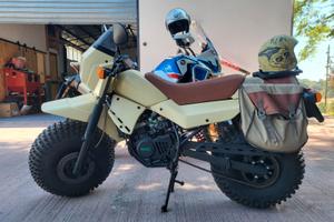 Fantic koala 50 cc