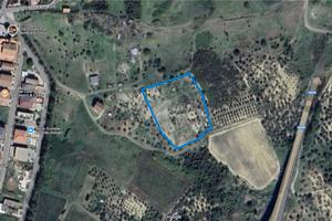 Terreno Agricolo