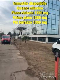 Immobile commerciale D8 2 da piani 1350 mq
