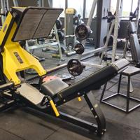 leg press, biceps machine, sissy squat technogym 