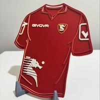Quadretto Maglia Salernitana