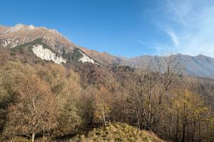 Terreni adibiti a bosco