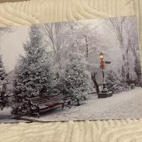 Quadro natalizio con luci