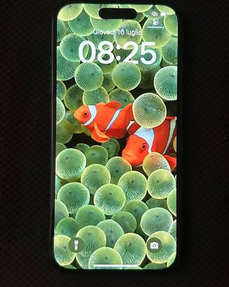 IPhone 15 perfetto
