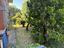 Immagine 27
