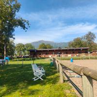 Pensione per cavalli 