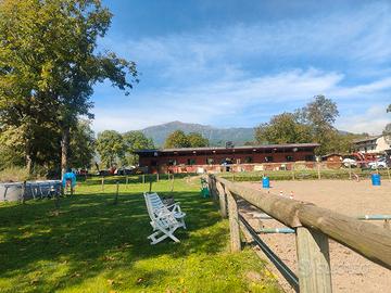 Pensione per cavalli 