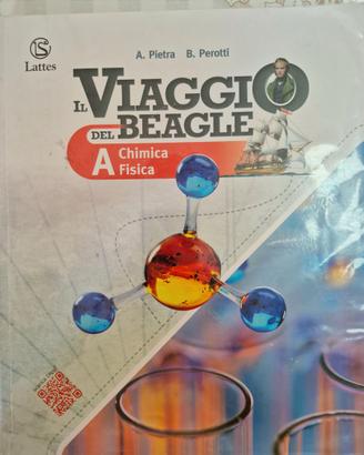 Il Viaggio Del Beagle A  B  C D
