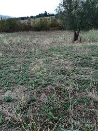 Terrenoo edificabile