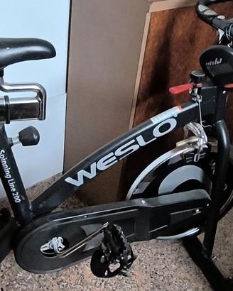 Bici spinning Weslo
