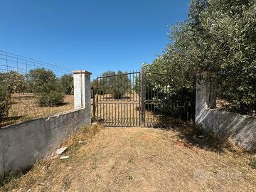 Giagumona-Bel Terreno con 2 fabbricati