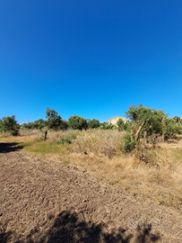 Terreno agricolo con fabbricato rurale diruto