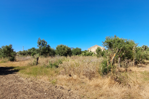 Terreno agricolo con fabbricato rurale diruto