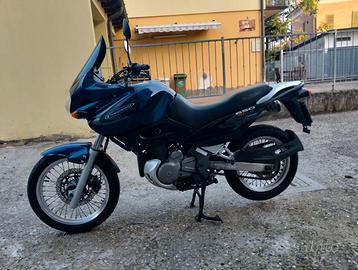 Moto Suzuki