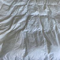 Piumone matrimoniale Bassetti