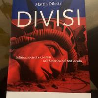 Divisi, Mattia Diletti