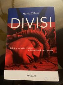 Divisi, Mattia Diletti