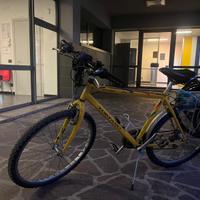 Bicicletta in buone condizioni
