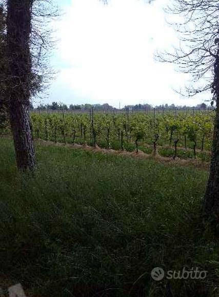 Immobile in asta di 50060 m² a Caneva - Vista 4