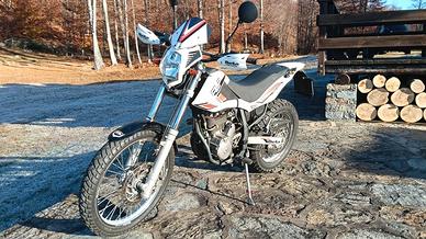 Moto Beta Alp 4.0