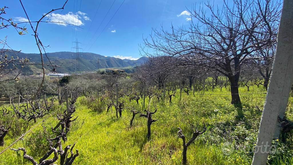 Terreno Agricolo Patti [P863VRG] - Vista 4