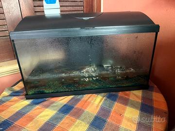 Acquario per pesci e tartarughe