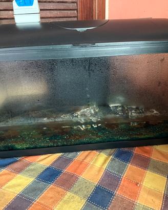 Acquario per pesci e tartarughe