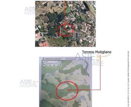 Terreno Agricolo Lucca [A4288588]