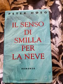 il senso di smilla per la neve 