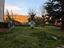 Immagine 11
