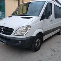 Mercedes Sprinter 9 posti Passo lungo