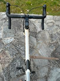 Cannondale synapse full carbon