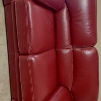 Divano due posti e tre posti pelle di bufalo