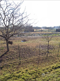 Terreno agricolo tra piossasco e bruino