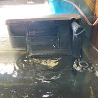 Filtro a zainetto angel 380