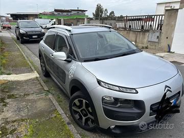 c4 cactus