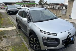 c4 cactus