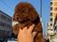 Immagine 2