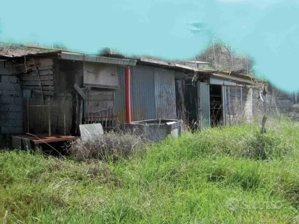 Immobile in asta di 1962 m² a Mondavio - Vista 4