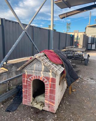 Cuccia per cani in cemento