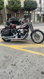 Harley Davidson Softail Springer