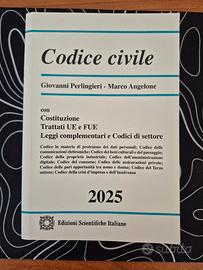 Codice civile Perlingieri