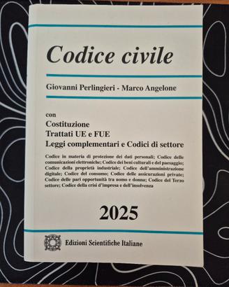 Codice civile Perlingieri