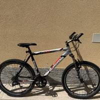 Bottecchia FX520