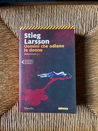 Uomini che odiano le donne