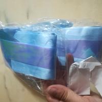 Nastro Frozen celeste decorazione 