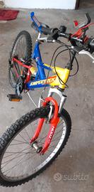 Bici 26