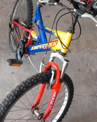 Bici 26